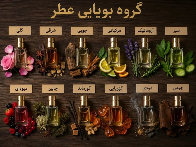 راهنمای شناخت خانوادههای بویایی عطر و تفاوت انواع رایحهها